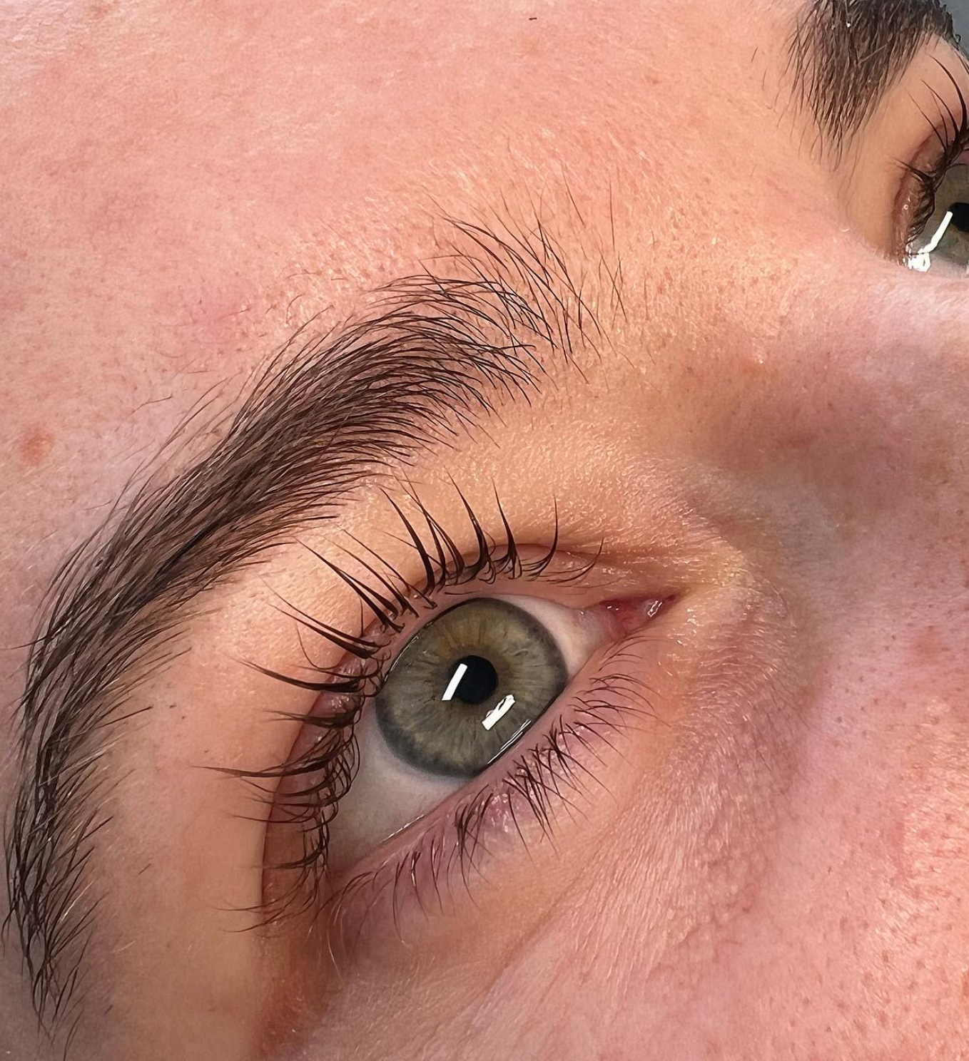 Lash lift med farve